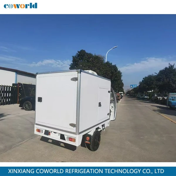 Refrigerated Electric Tricycle best